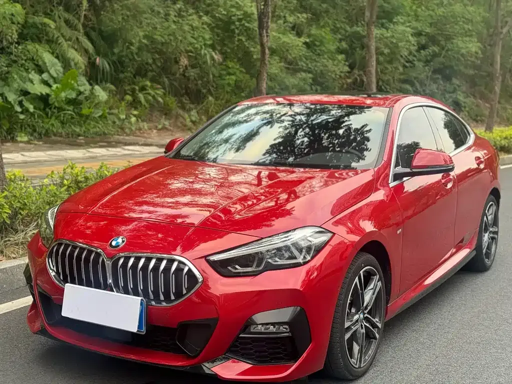 BMW 2 Series (Import) 2021 из CN, фото 1
