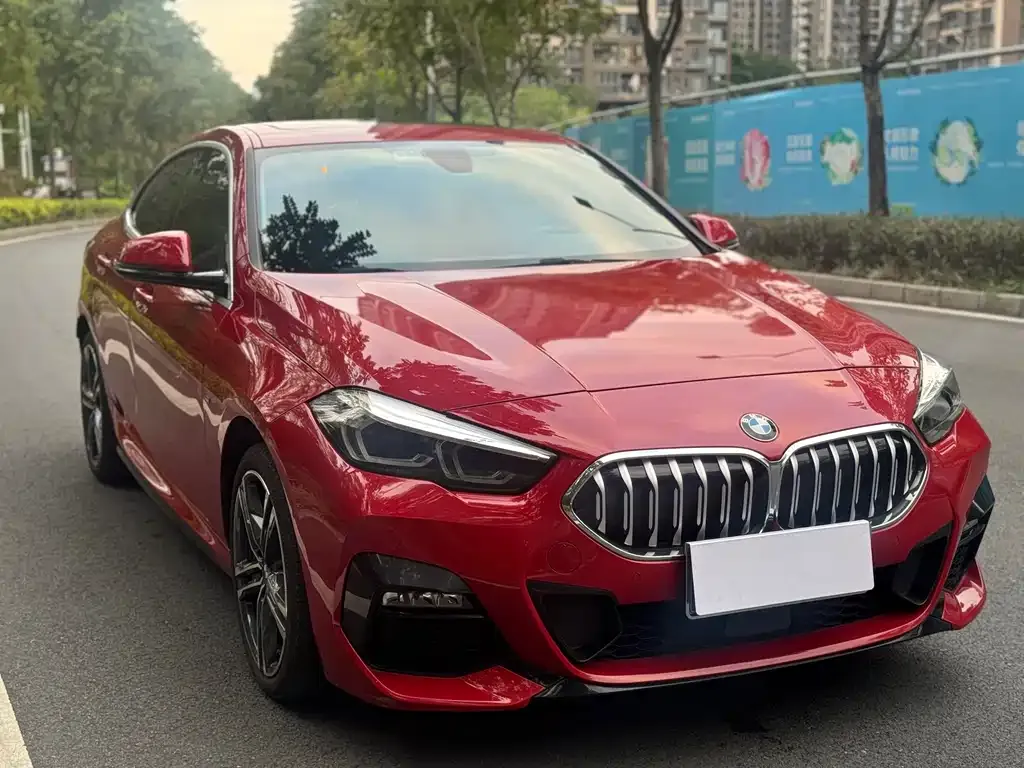 BMW 2 Series (Import) 2021 из CN, фото 2