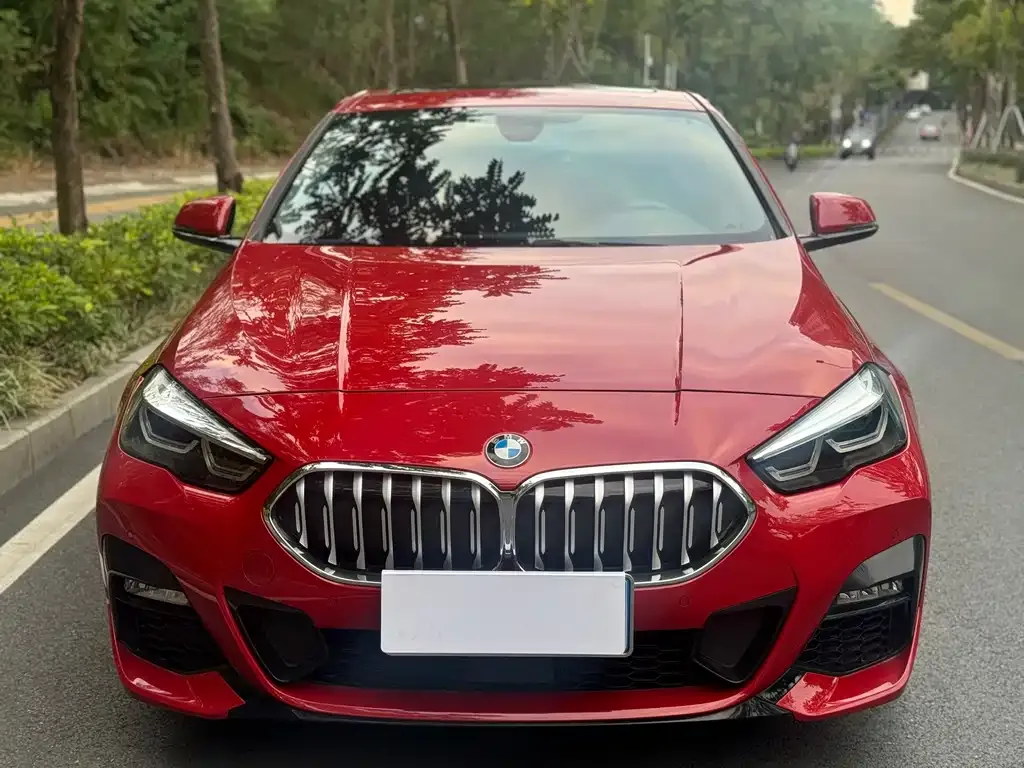 BMW 2 Series (Import) 2021 из CN, фото 3