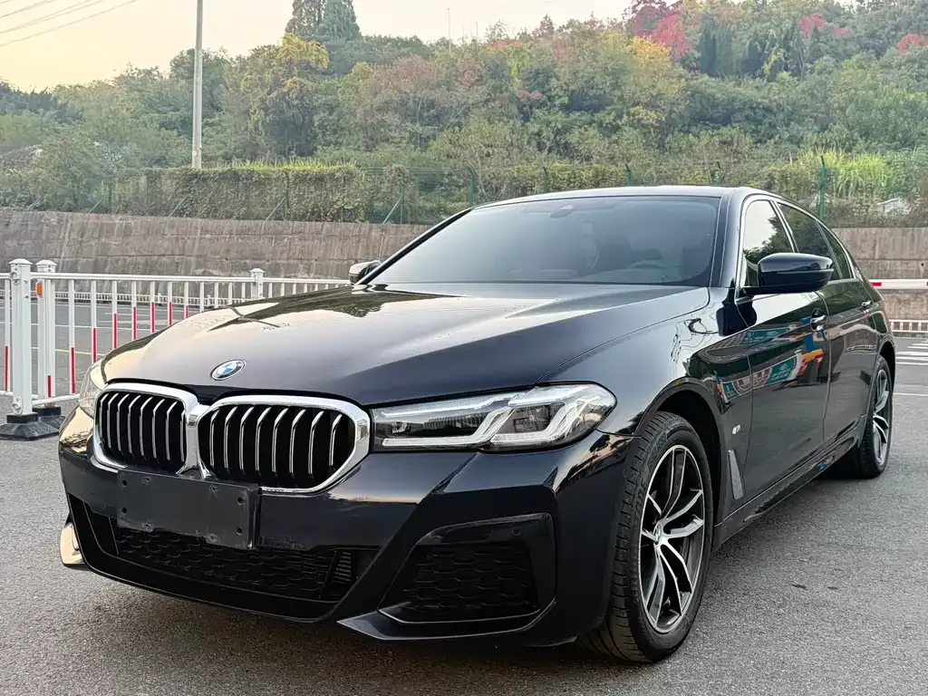 BMW 5 Series 2023 из CN, фото 1