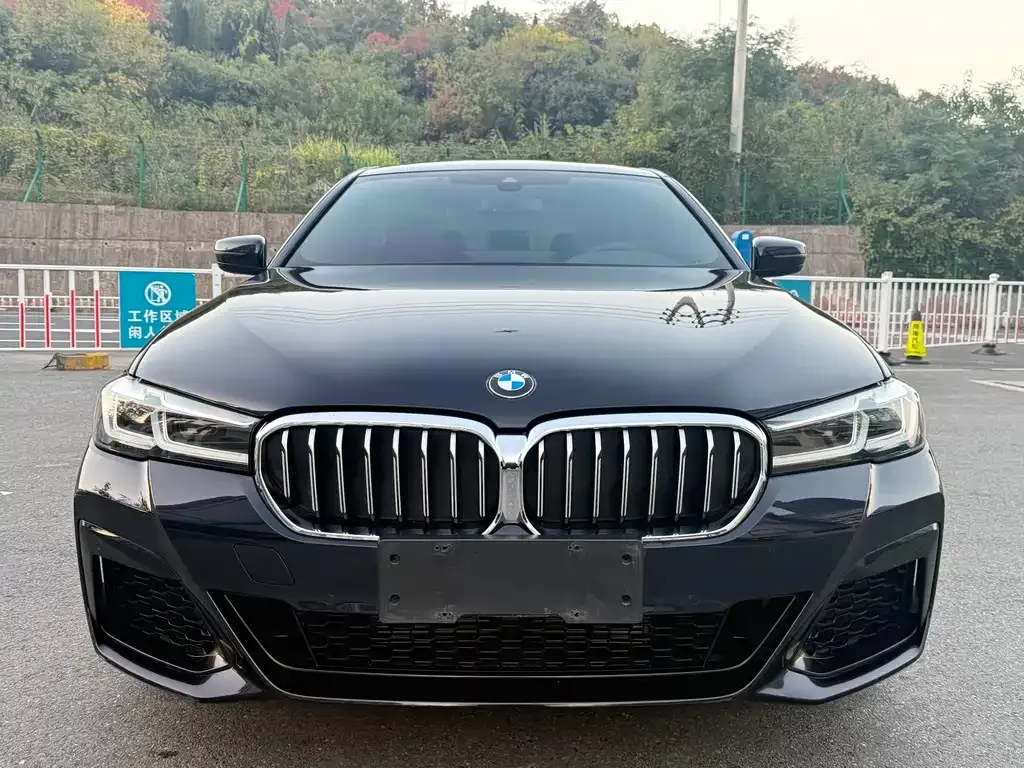 BMW 5 Series 2023 из CN, фото 2
