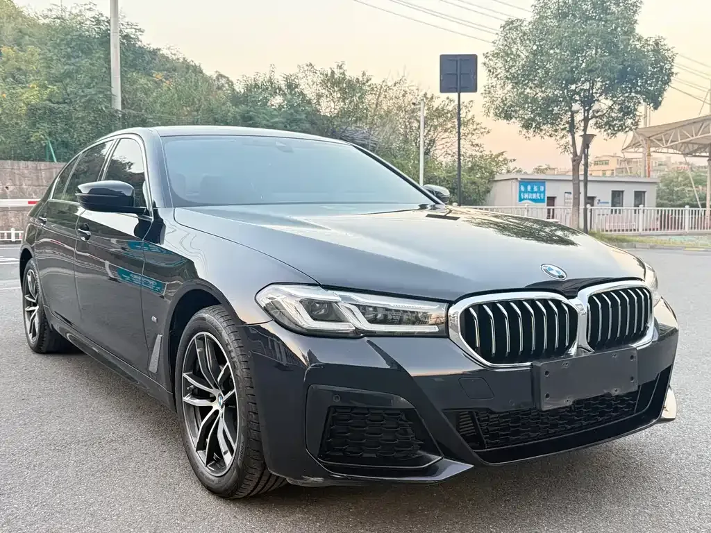 BMW 5 Series 2023 из CN, фото 3