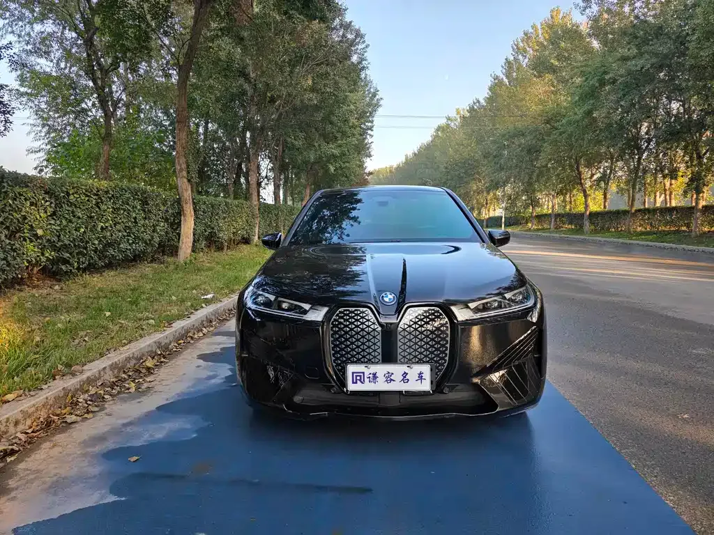 BMW iX 2024 из CN, фото 2