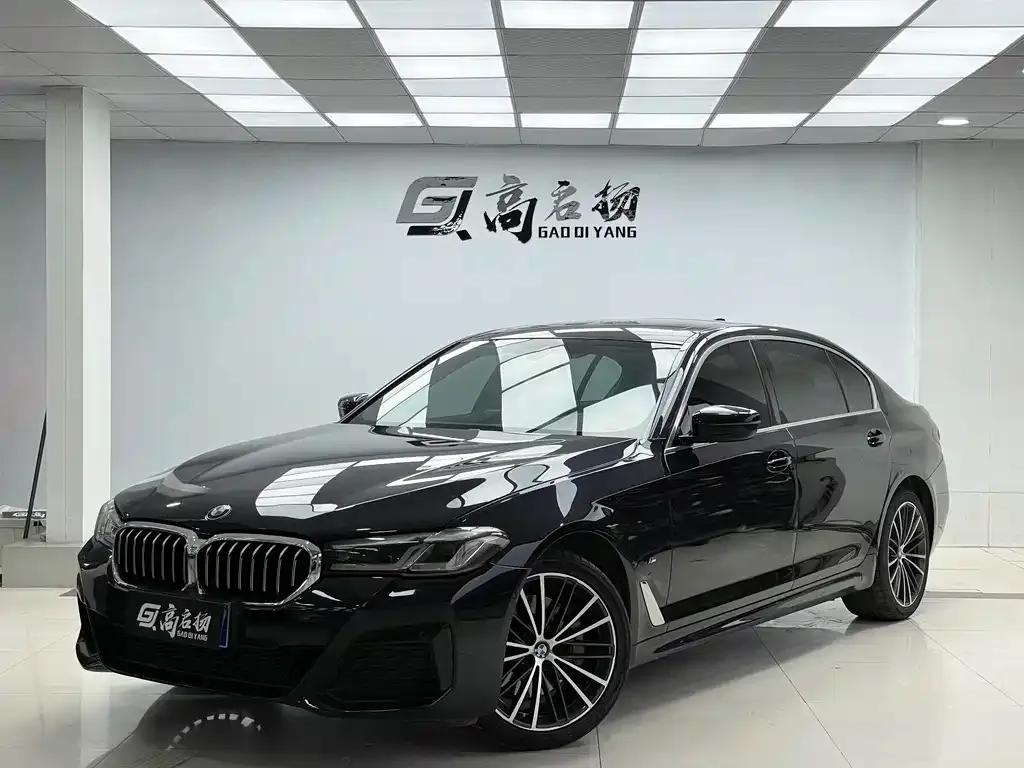 BMW 5 Series 2021 из CN, фото 1