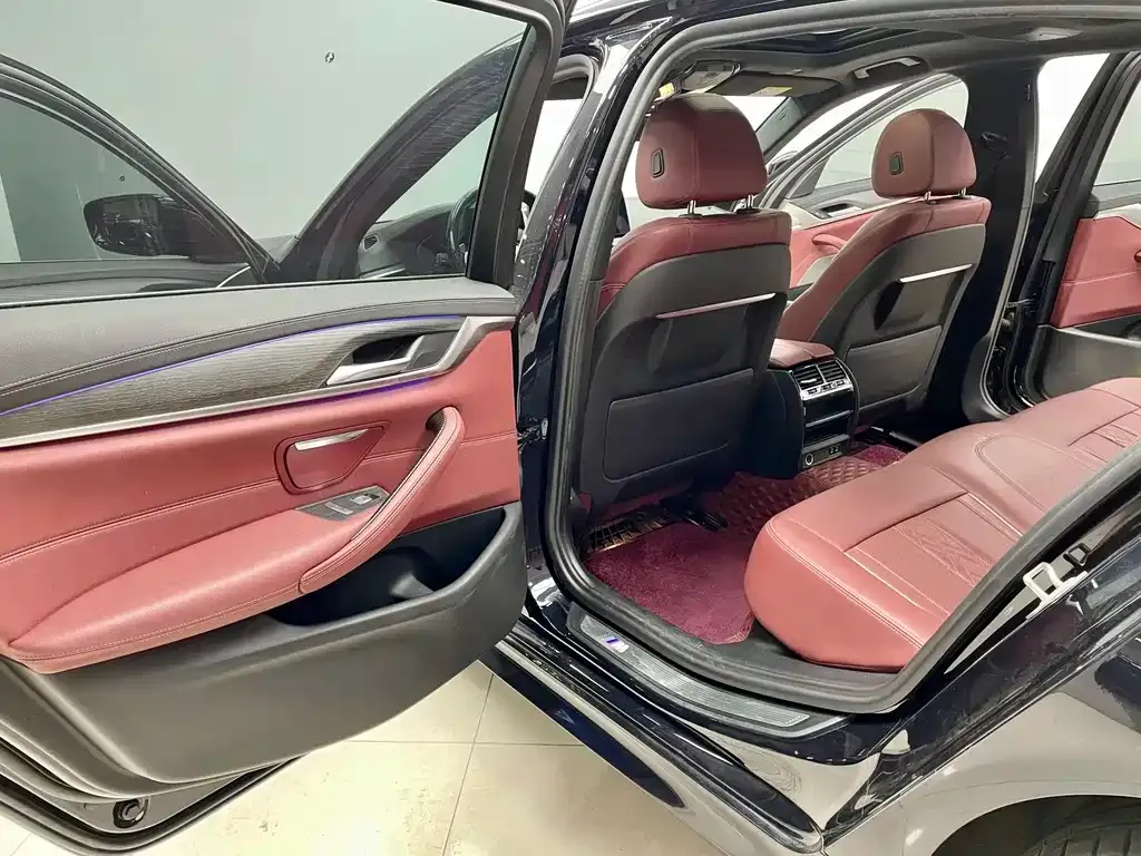 BMW 5 Series 2021 из CN, фото 10