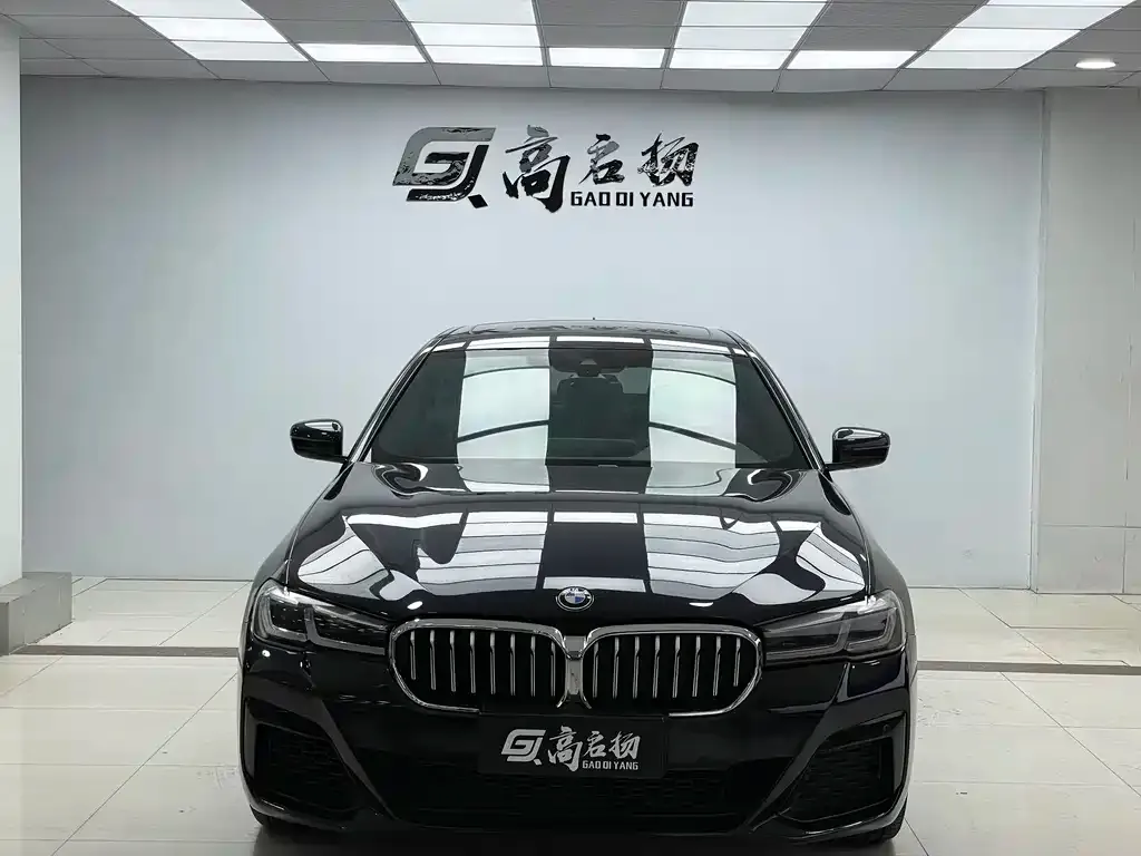 BMW 5 Series 2021 из CN, фото 2