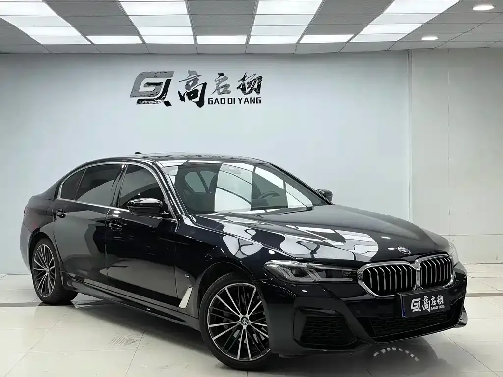 BMW 5 Series 2021 из CN, фото 3