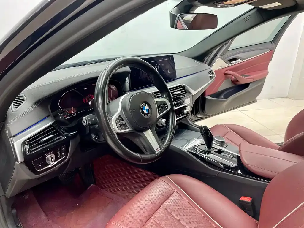 BMW 5 Series 2021 из CN, фото 5