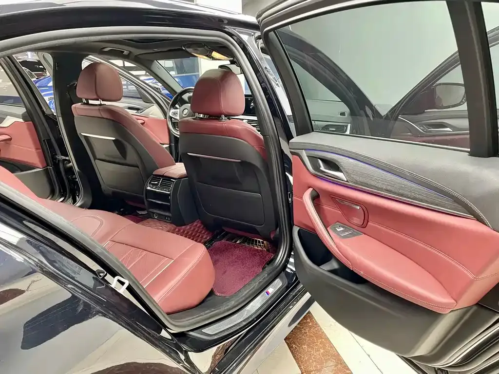 BMW 5 Series 2021 из CN, фото 7
