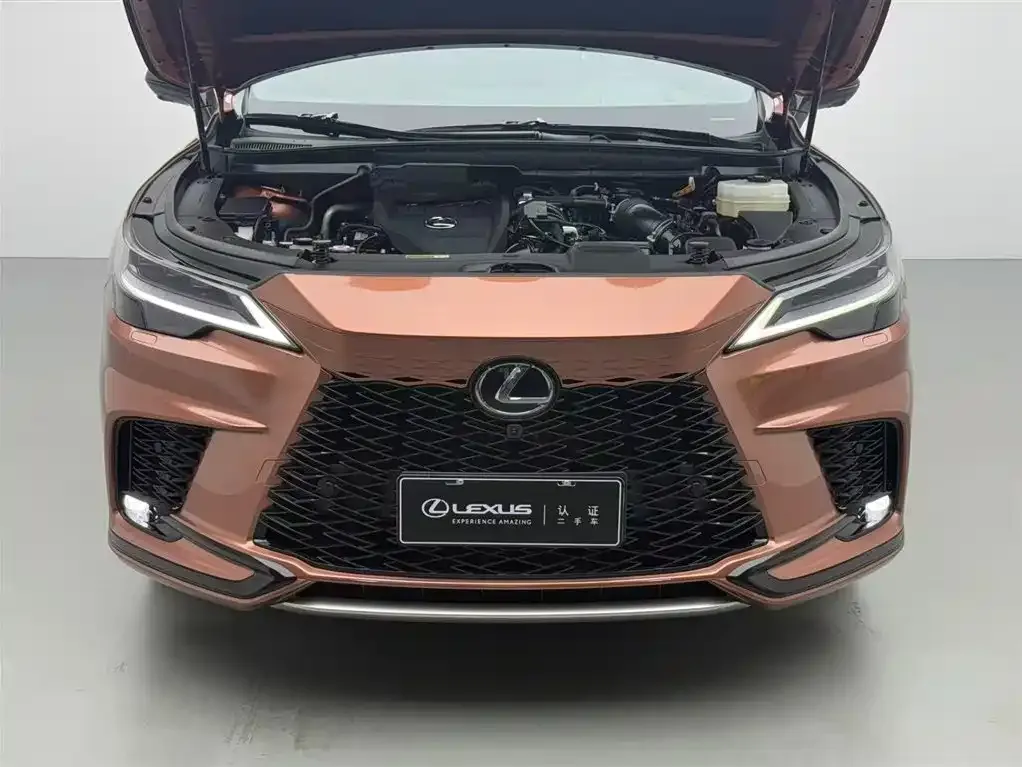 Lexus RX 2025 из CN, фото 3
