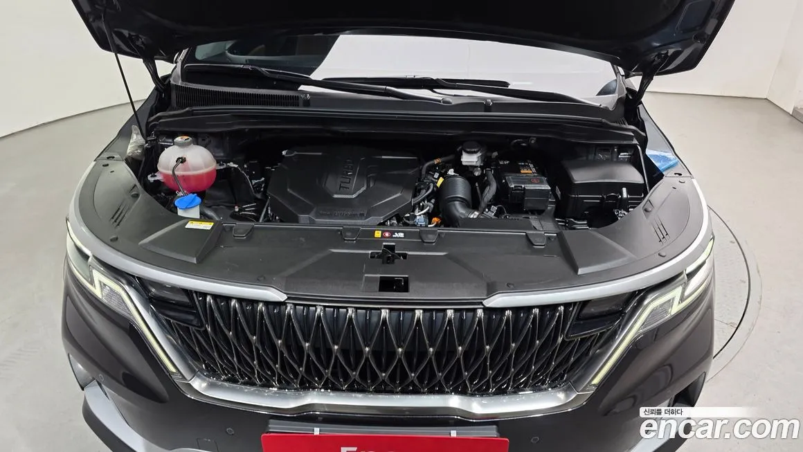 [object Object] Canival 2023 из KR, фото 6