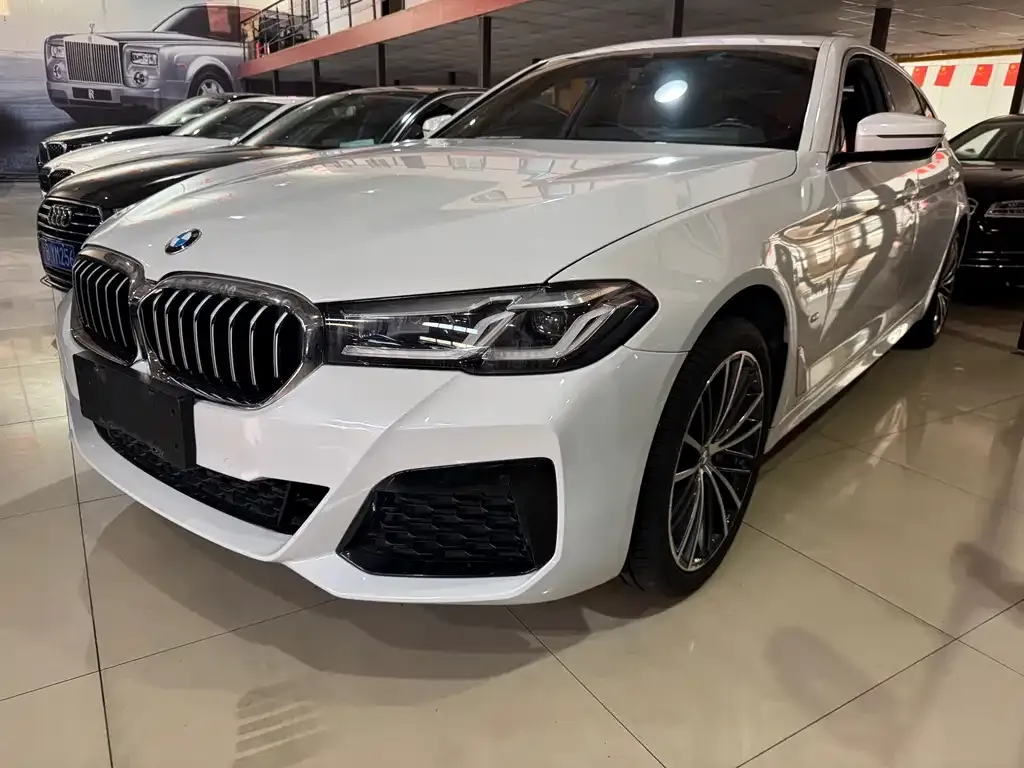 BMW 5 Series 2023 из CN, фото 1