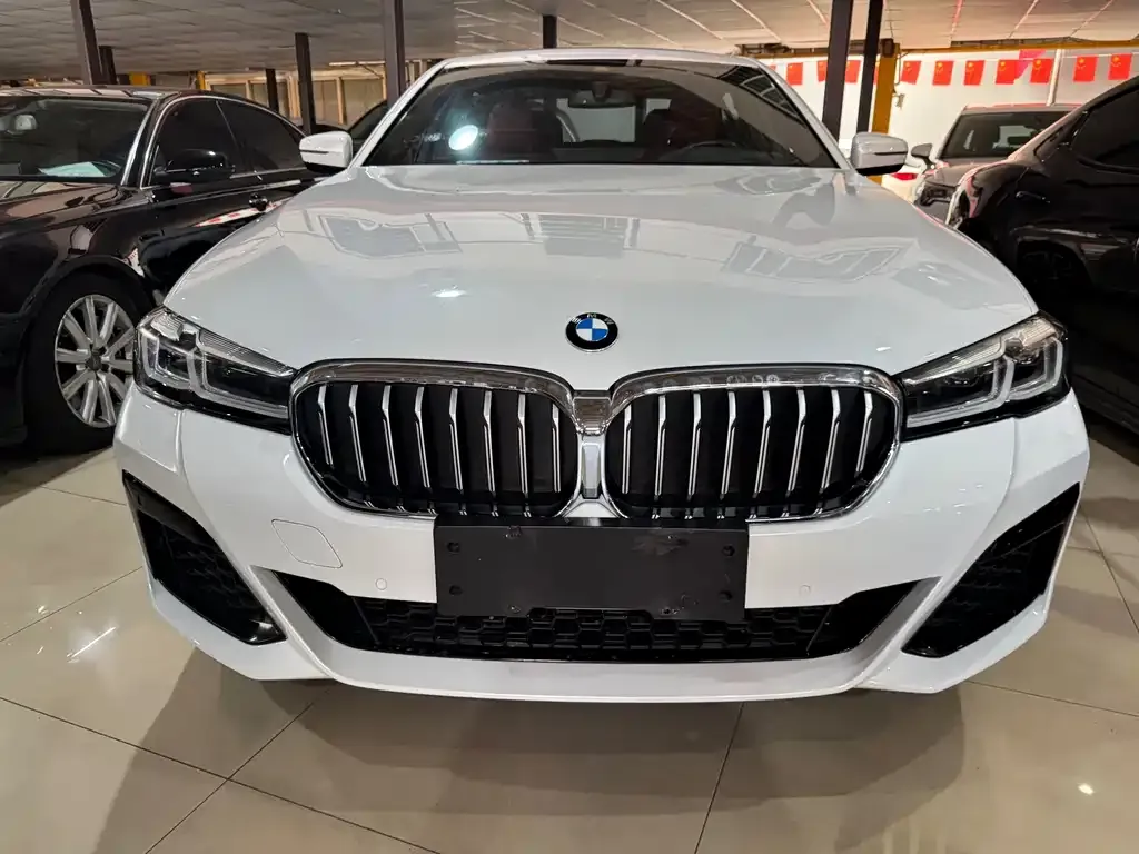 BMW 5 Series 2023 из CN, фото 2