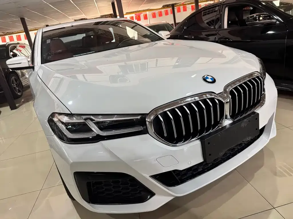 BMW 5 Series 2023 из CN, фото 3