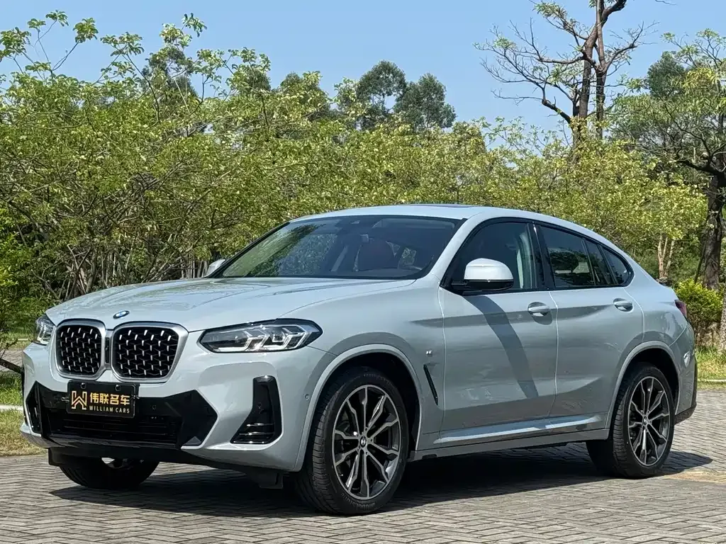 BMW X4 2025 из CN, фото 1