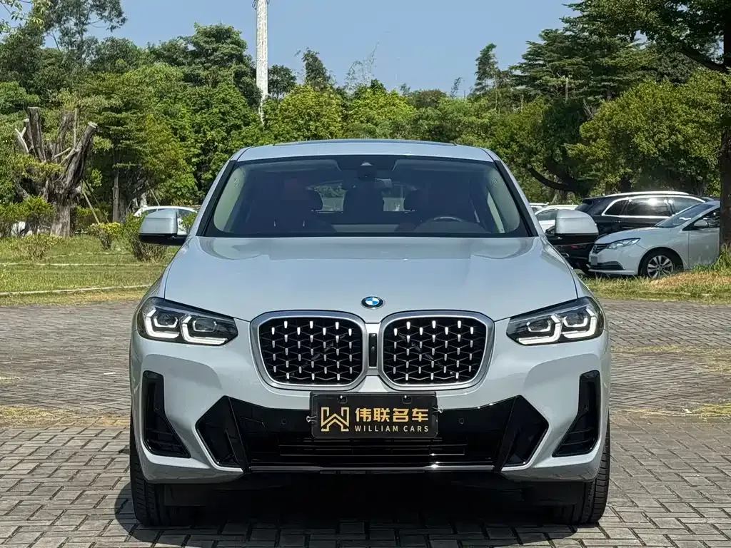 BMW X4 2025 из CN, фото 2