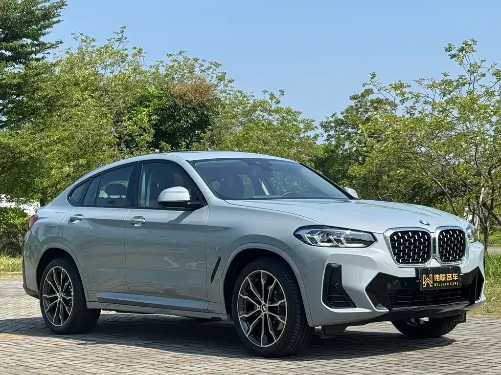 BMW X4 2025 из CN, фото 3