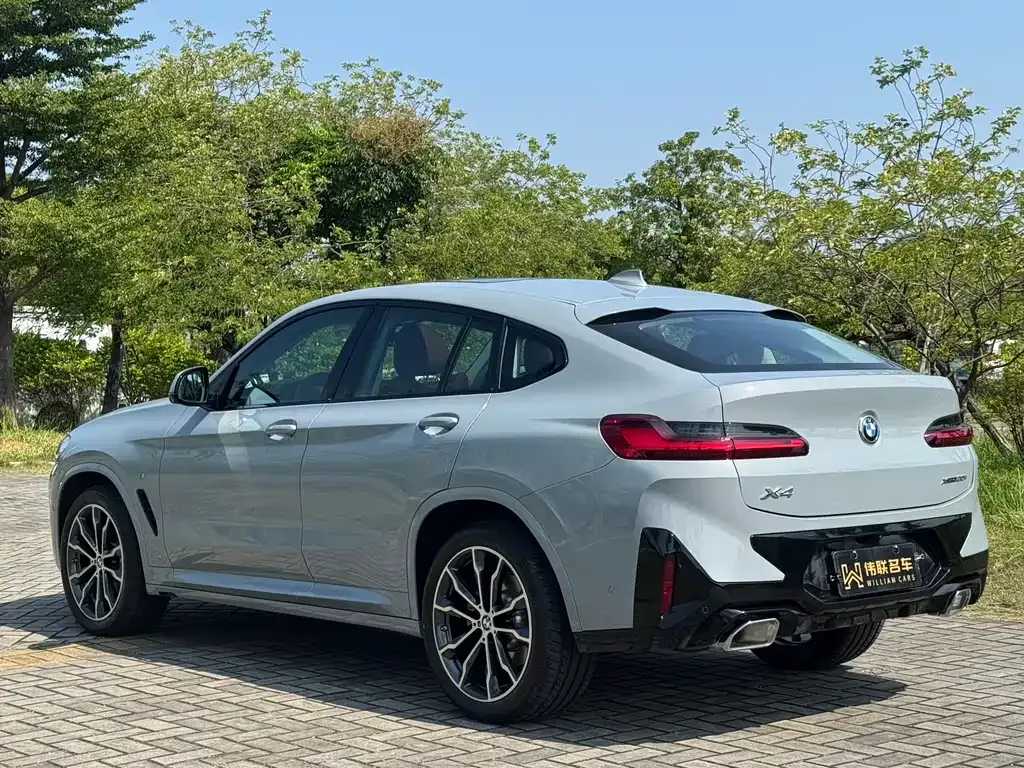 BMW X4 2025 из CN, фото 6