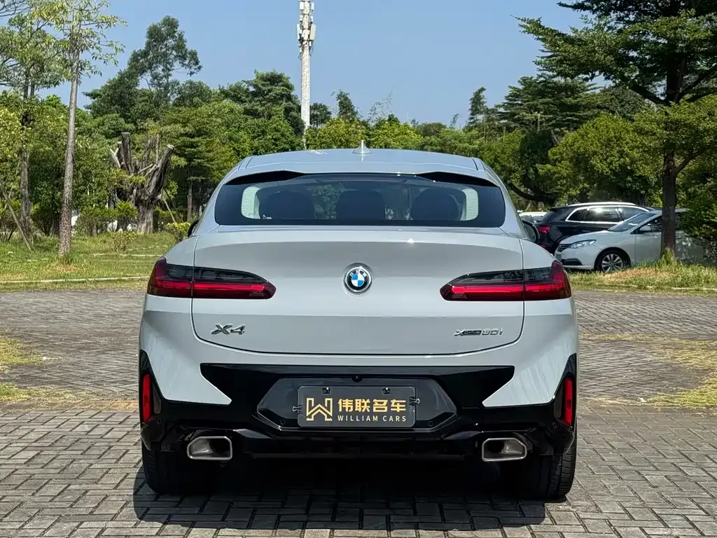 BMW X4 2025 из CN, фото 7