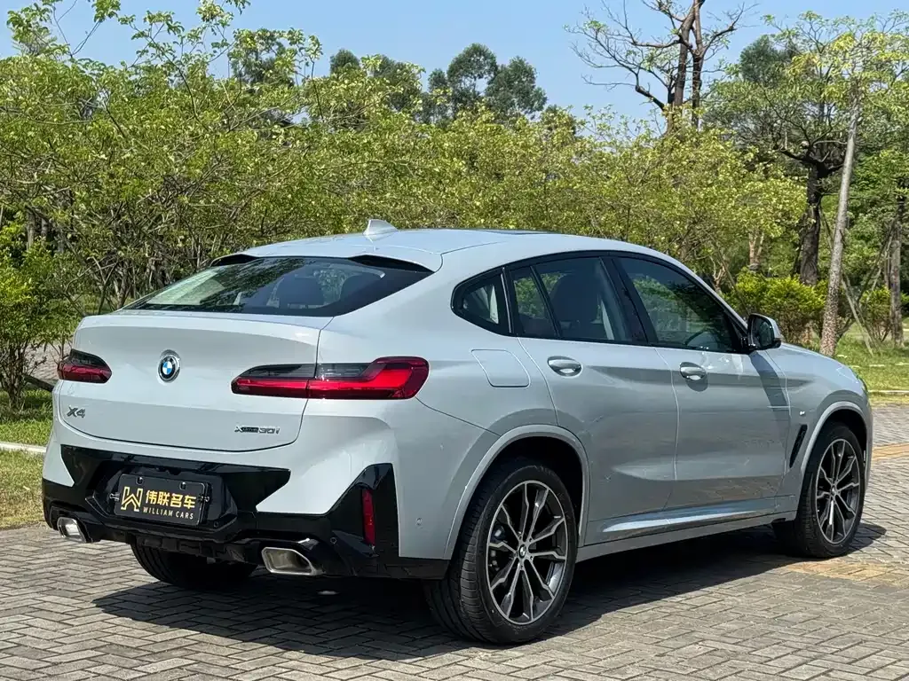 BMW X4 2025 из CN, фото 8