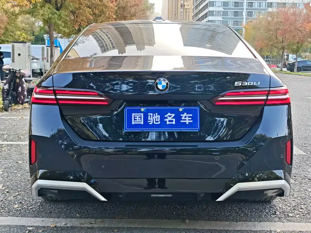BMW 5 Series 2024 из CN, фото 5