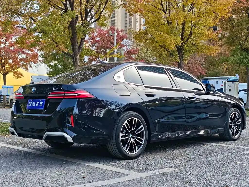 BMW 5 Series 2024 из CN, фото 6