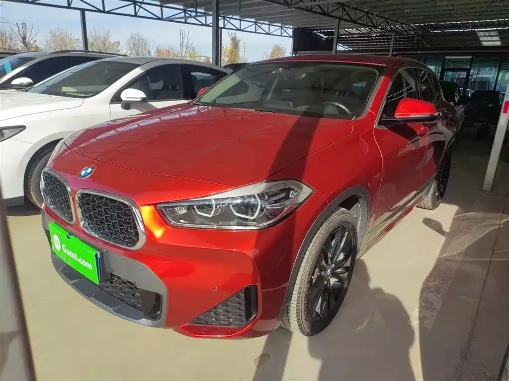 BMW X2 2023 из CN, фото 2