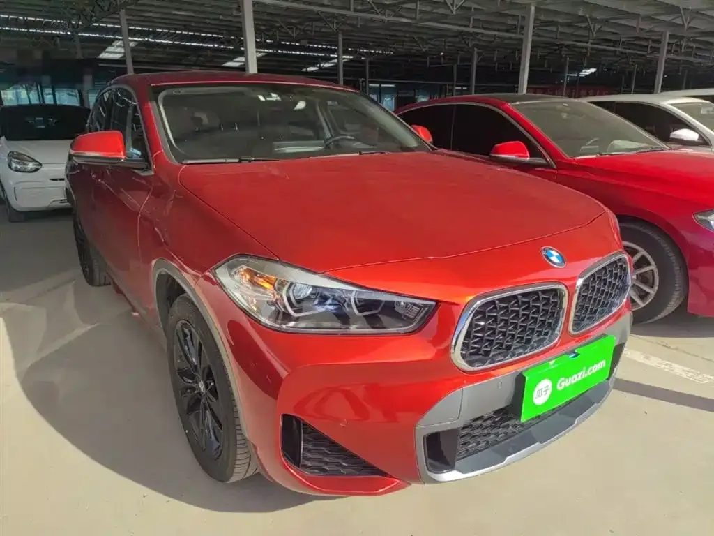 BMW X2 2023 из CN, фото 4