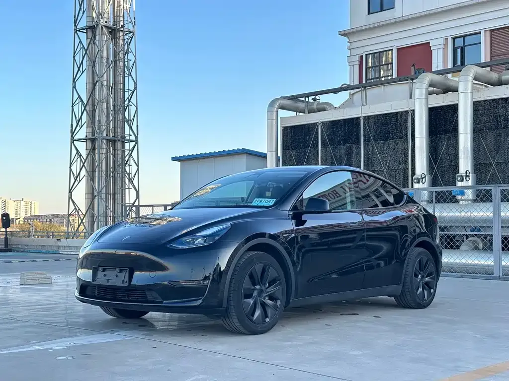 Tesla Model Y 2024 из CN, фото 1
