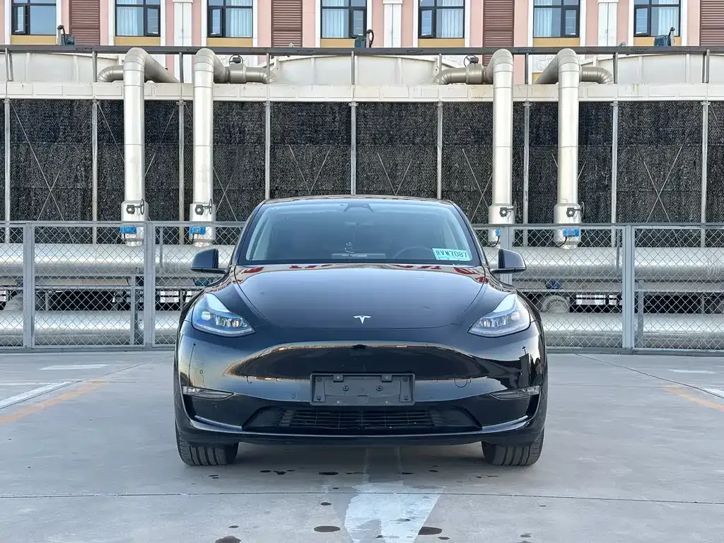 Tesla Model Y 2024 из CN, фото 2