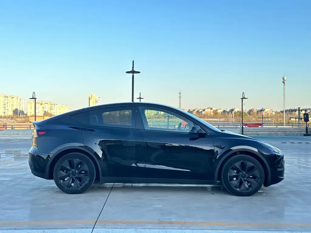 Tesla Model Y 2024 из CN, фото 4