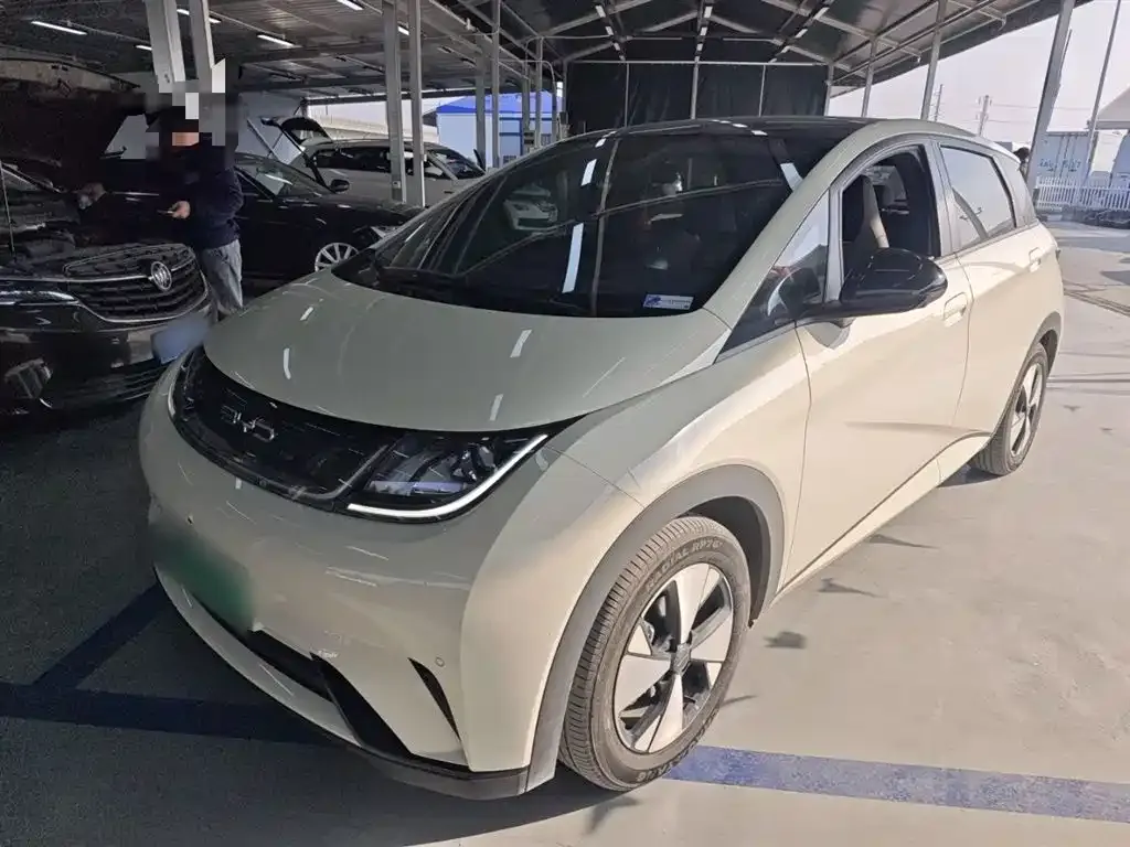 BYD Dolphin 2024 из CN, фото 1