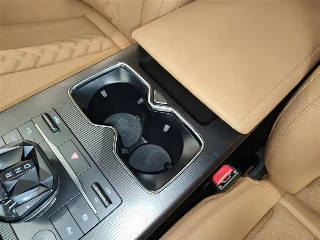 BYD L DM-i 2024 из CN, фото 9