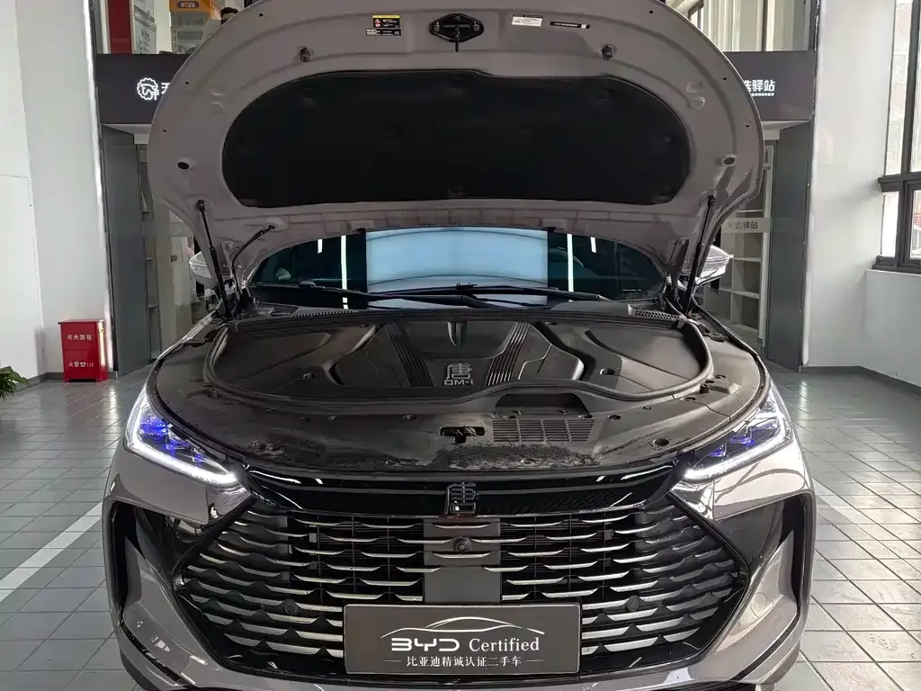BYD Tang New Energy 2025 из CN, фото 2
