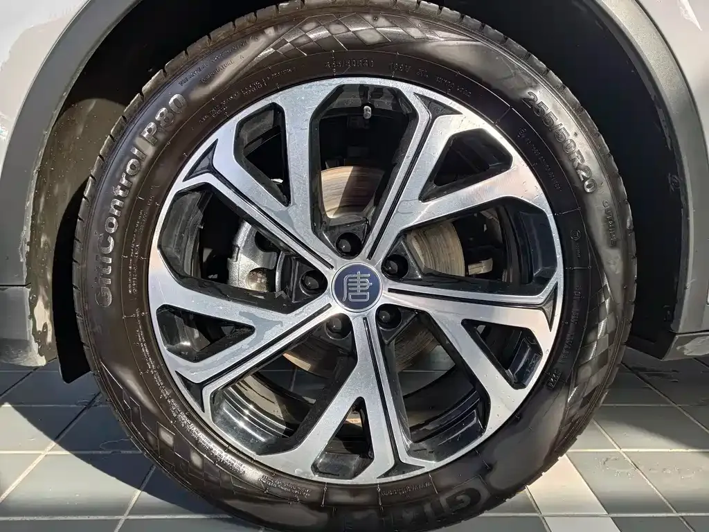 BYD Tang New Energy 2025 из CN, фото 3