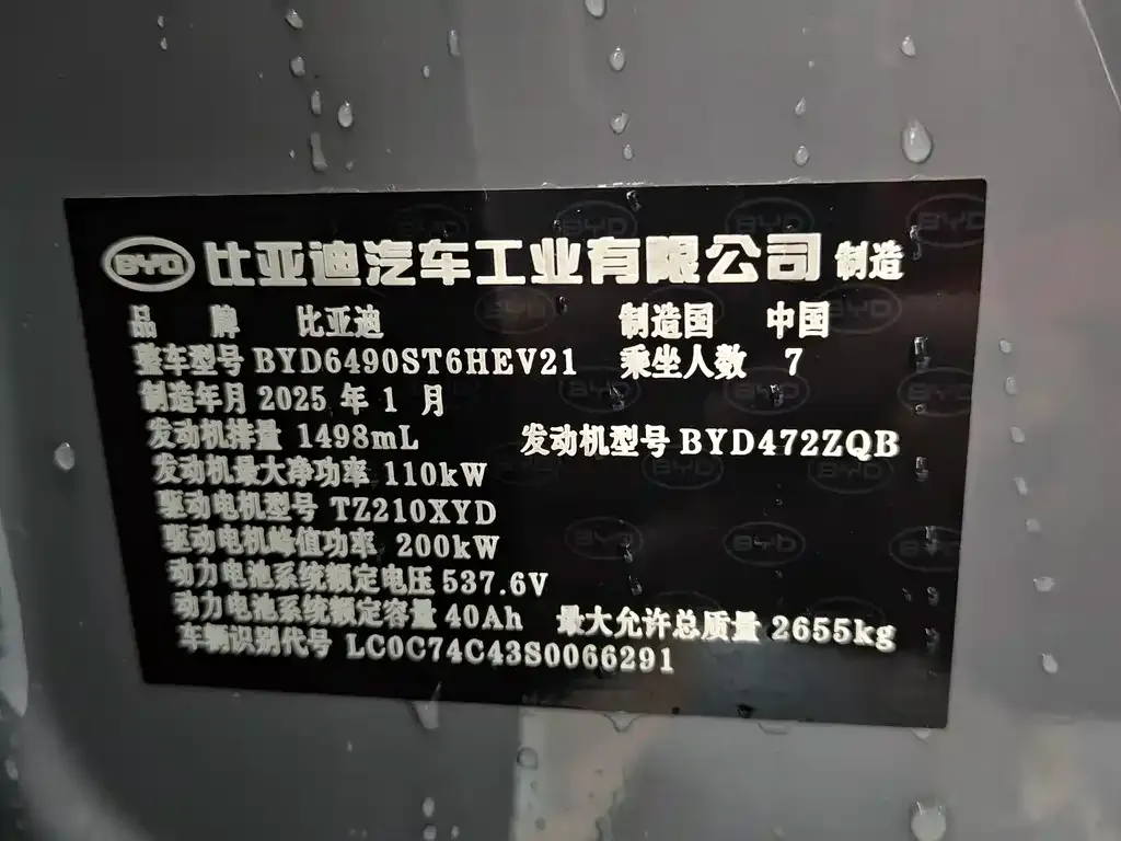 BYD Tang New Energy 2025 из CN, фото 6