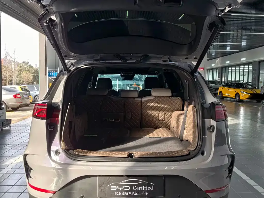 BYD Tang New Energy 2025 из CN, фото 9