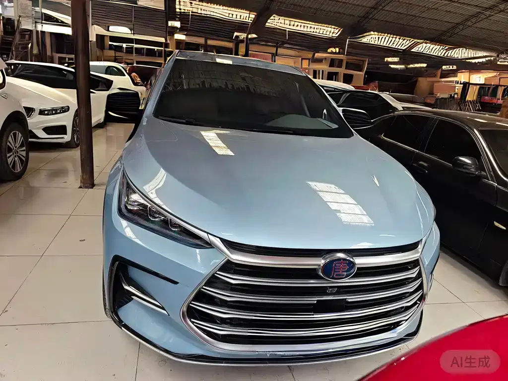 BYD Tang New Energy 2023 из CN, фото 2