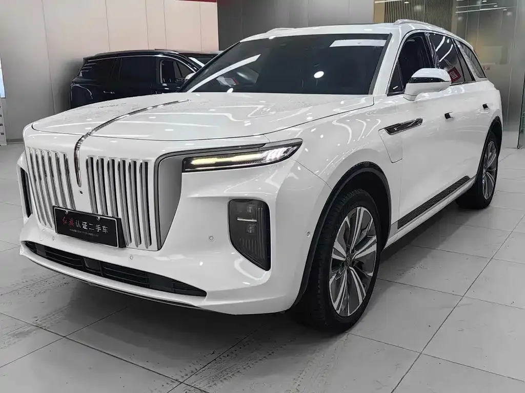 Hongqi E-HS9 2023 из CN, фото 1