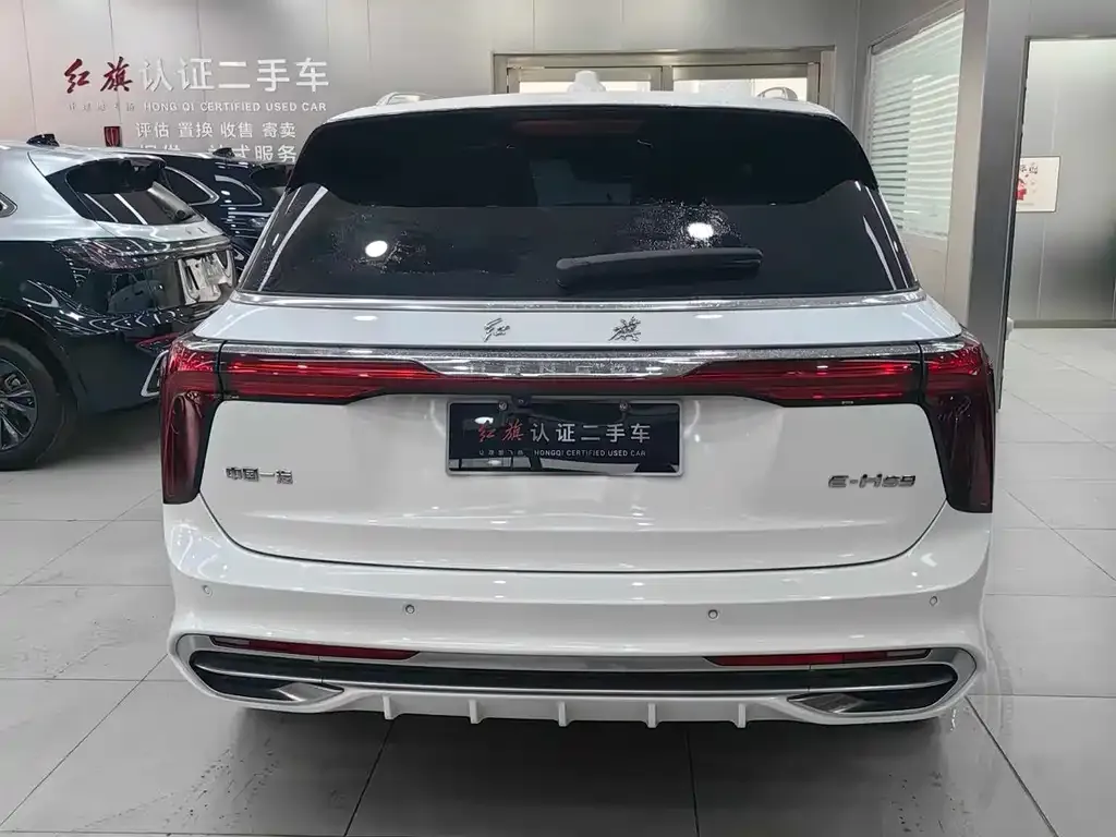 Hongqi E-HS9 2023 из CN, фото 10