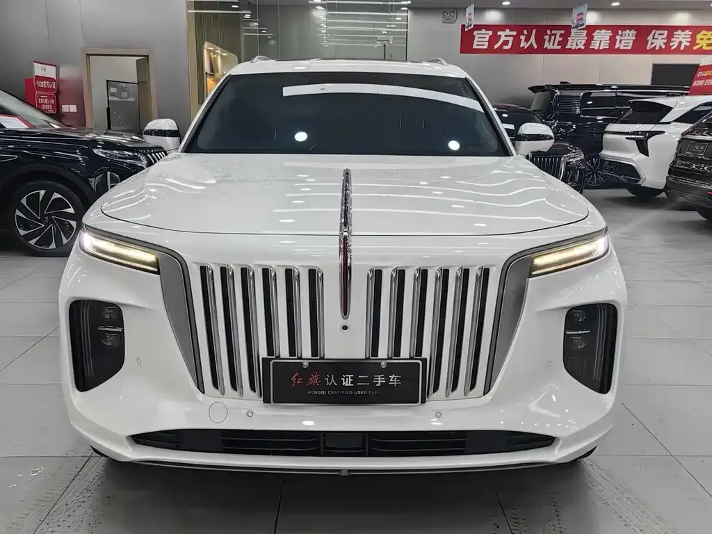 Hongqi E-HS9 2023 из CN, фото 2