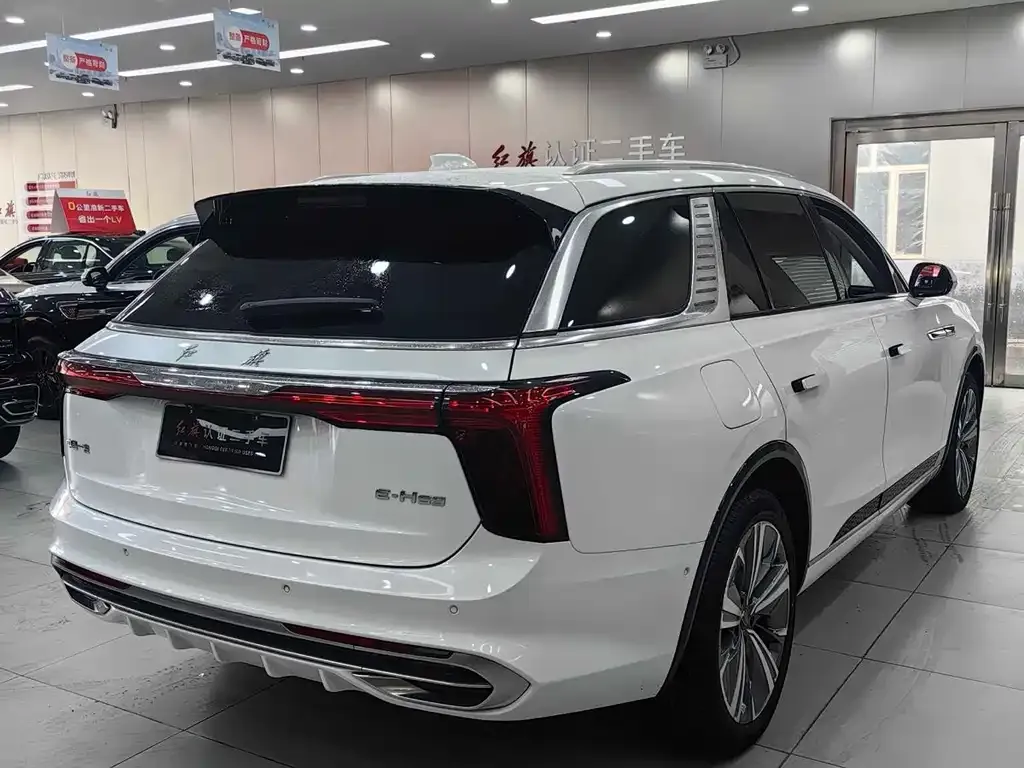 Hongqi E-HS9 2023 из CN, фото 9
