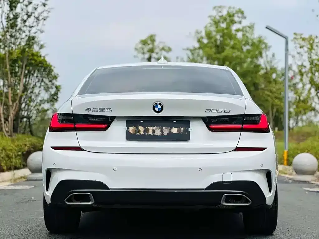 BMW 3 Series 2021 из CN, фото 8