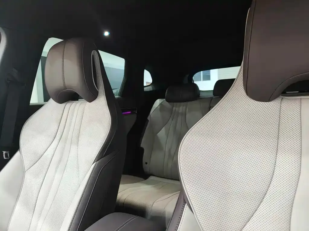 BYD PLUS New Energy 2025 из CN, фото 10