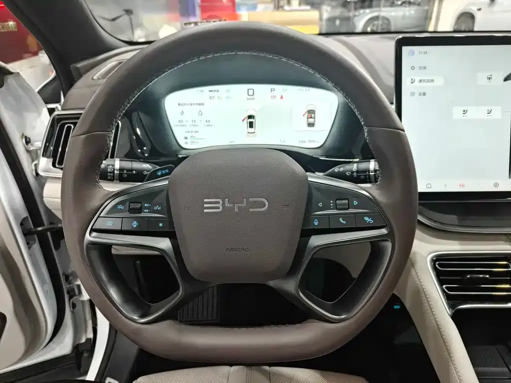 BYD PLUS New Energy 2025 из CN, фото 2