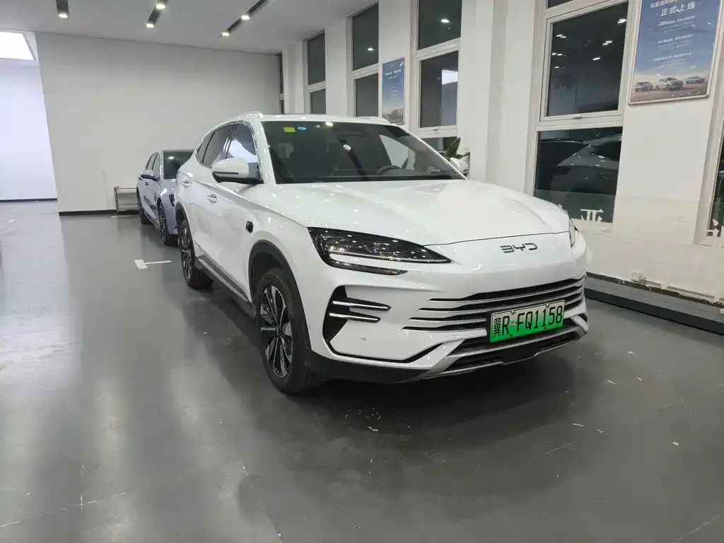 BYD PLUS New Energy 2025 из CN, фото 6