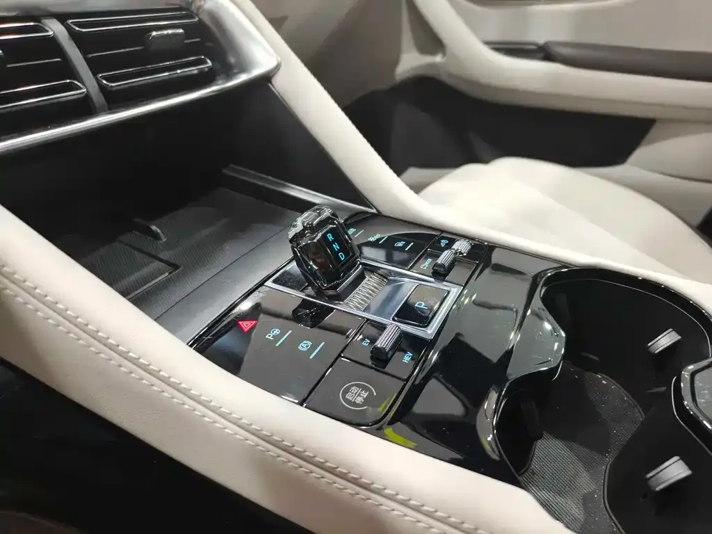 BYD PLUS New Energy 2025 из CN, фото 9