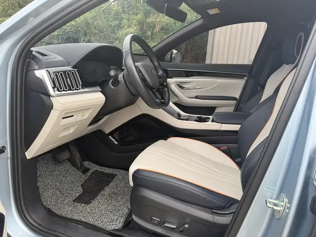 BYD PLUS New Energy 2024 из CN, фото 3