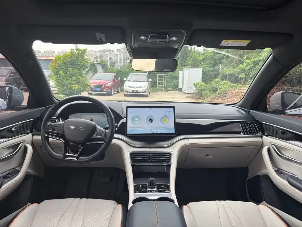 BYD PLUS New Energy 2024 из CN, фото 4