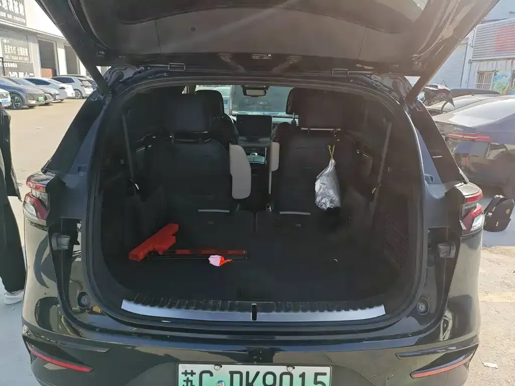 BYD Tang New Energy 2022 из CN, фото 2